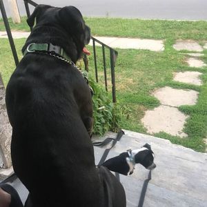 Meet your Posher, Aj